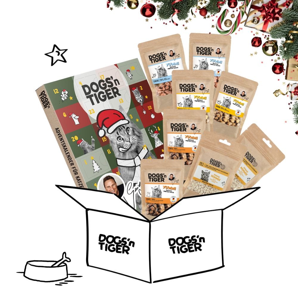 Weihnachts Snack Box für Katzen