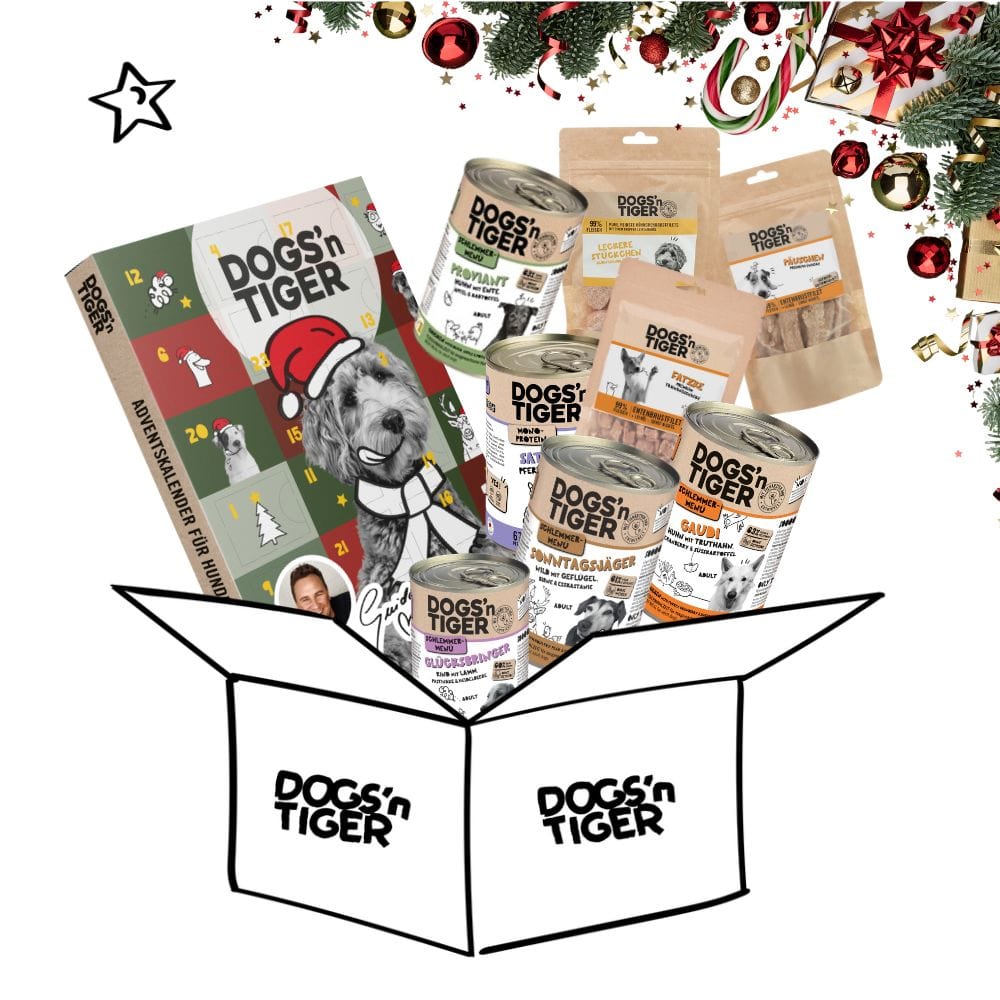 Schlemmer Weihnachtsbox für Hunde