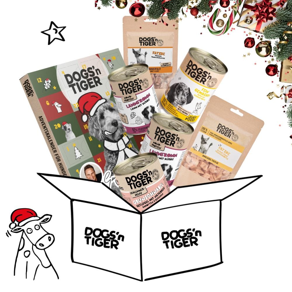 Weihnachtsbox für Welpen
