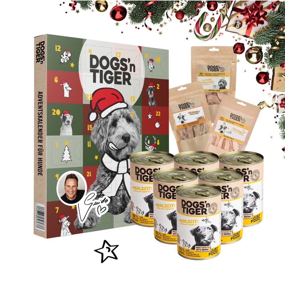 Weihnachtsbox für Hunde