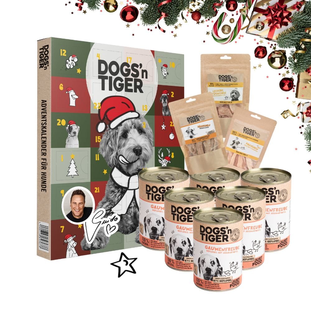 Weihnachtsbox für Hunde