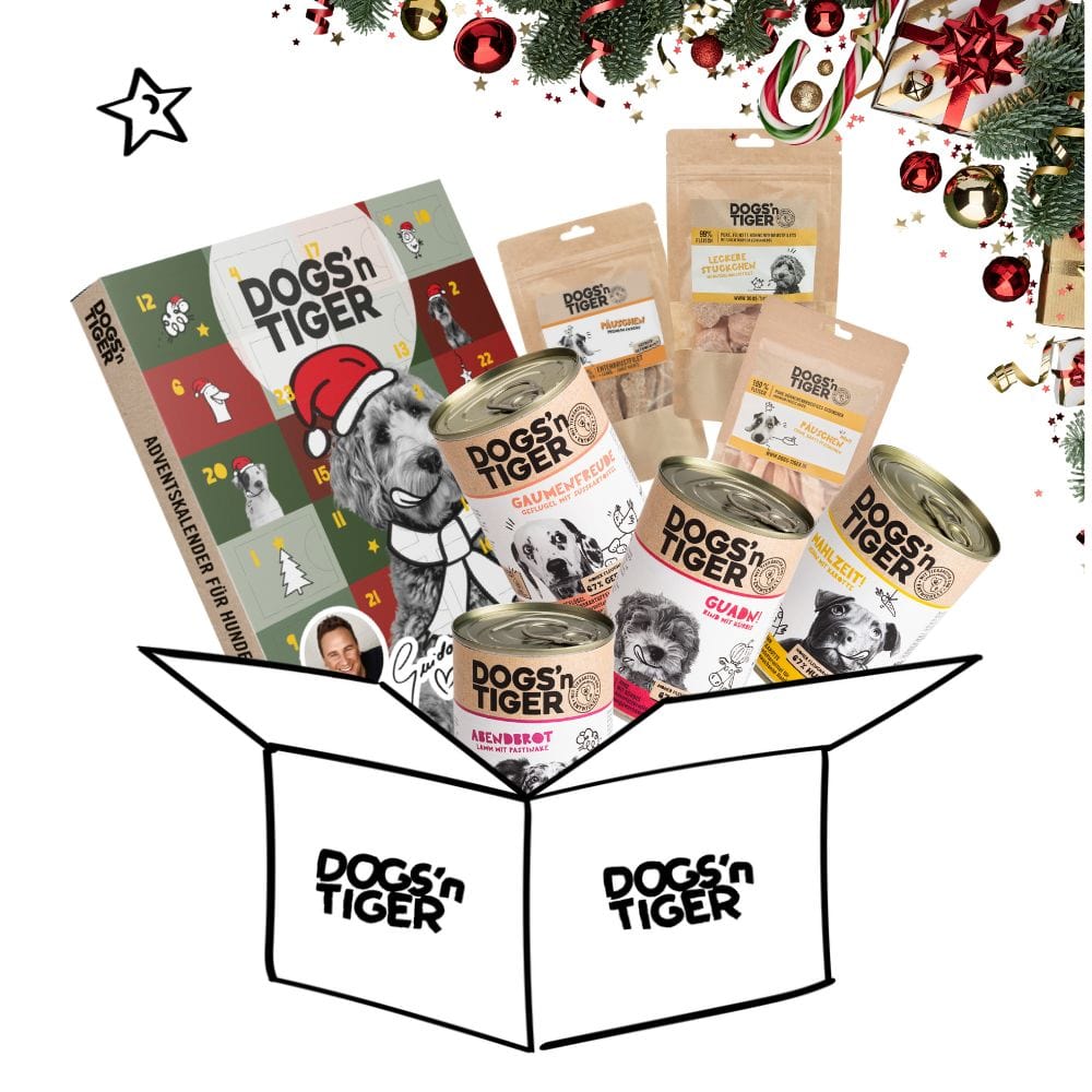 Weihnachtsbox für Hunde