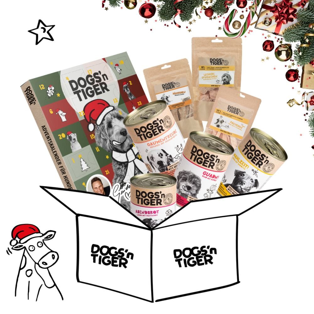 Weihnachtsbox für Hunde