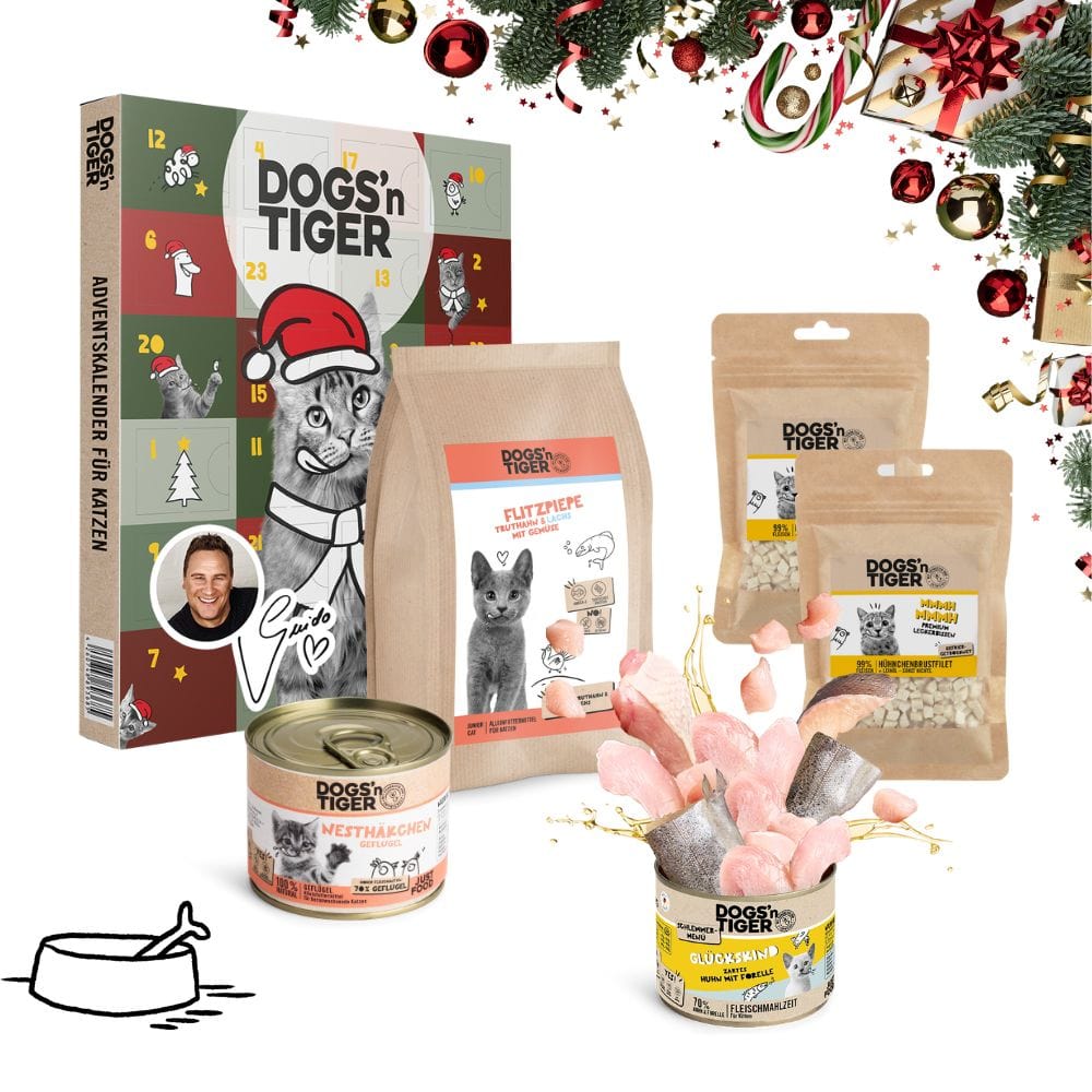 Weihnachtsbox für Kitten