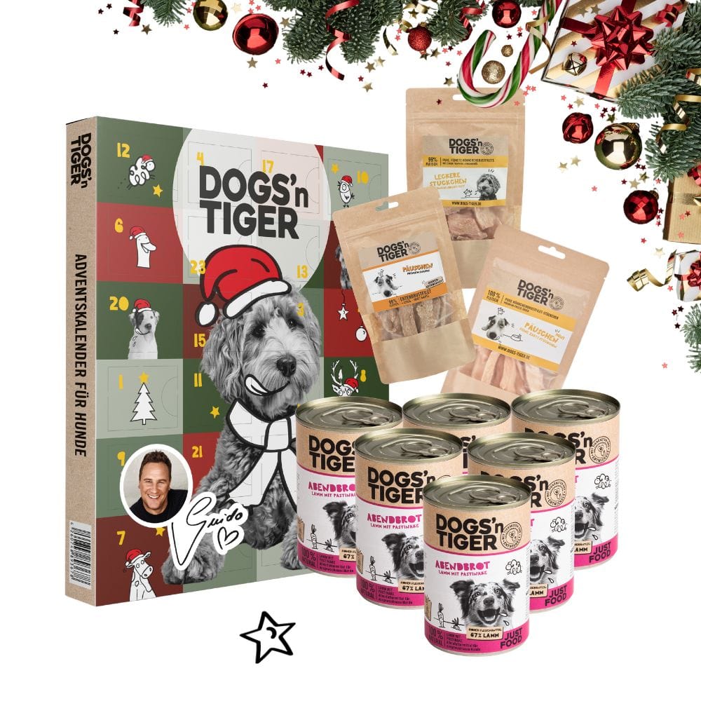 Weihnachtsbox für Hunde