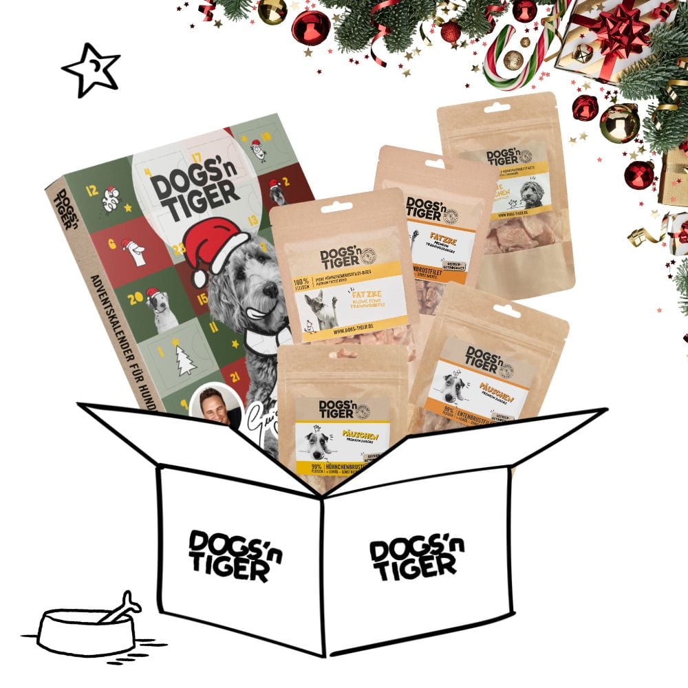 Classic Weihnachts- Snack Box für Hunde