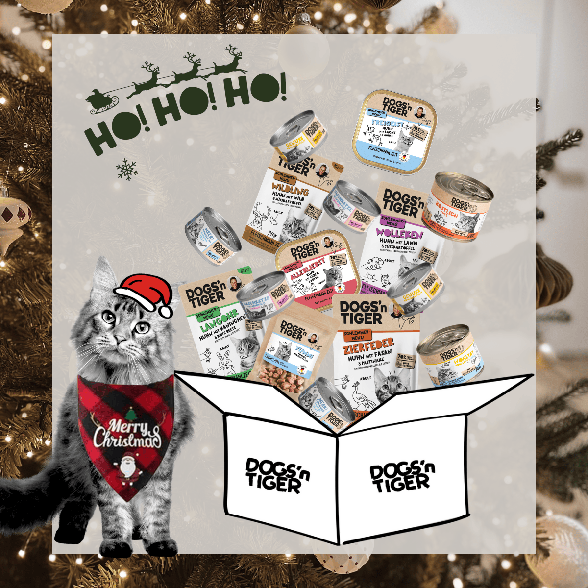 X-Mas Box für Katzen