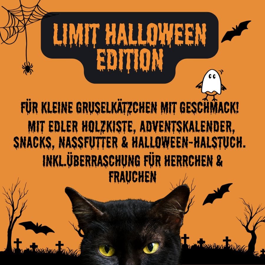 Halloween Box für Katzen