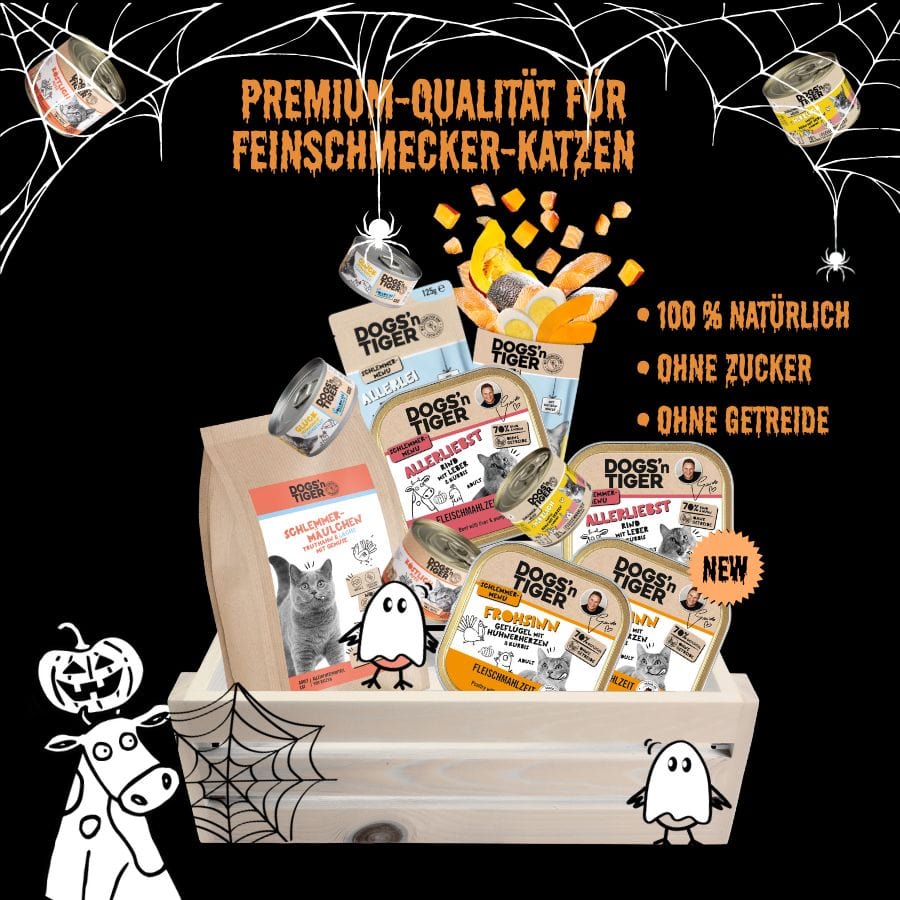 Halloween Box für Katzen