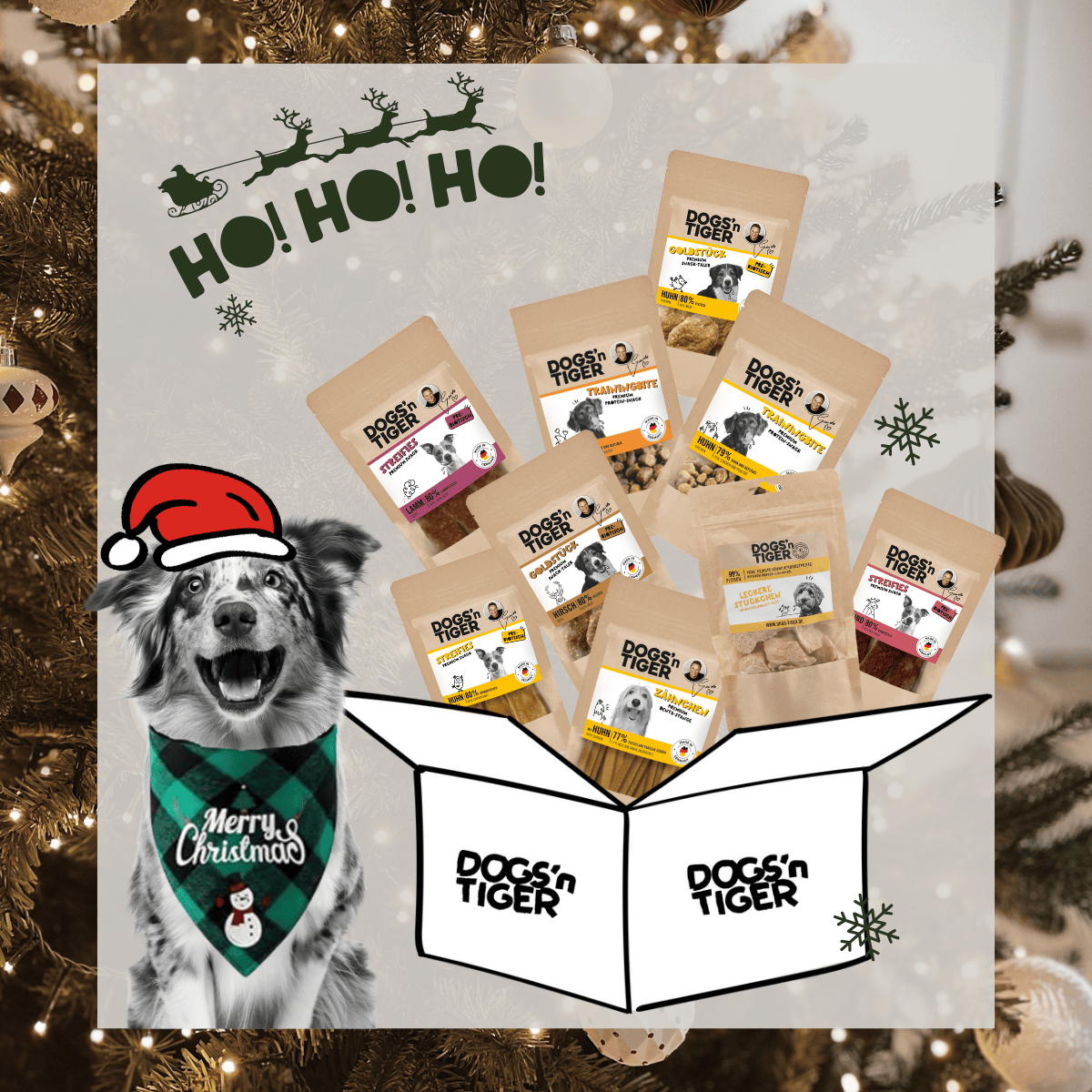 X-Mas Box für Hunde