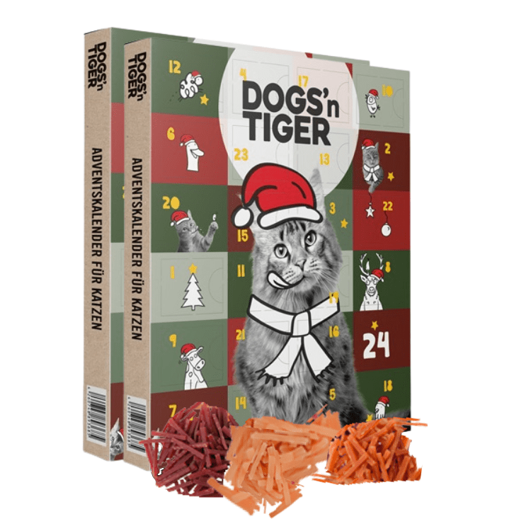 Tiger - Adventskalender 2025