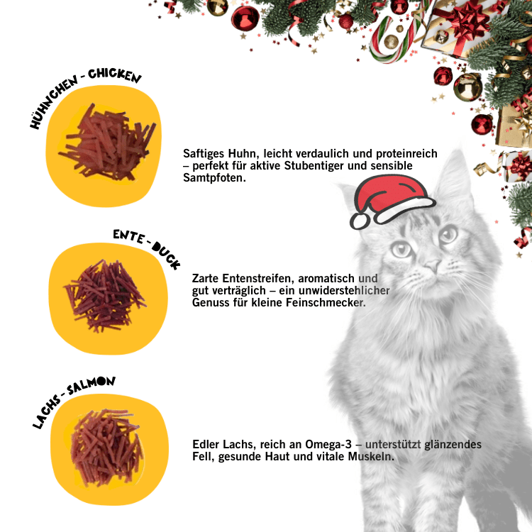Tiger - Adventskalender 2025