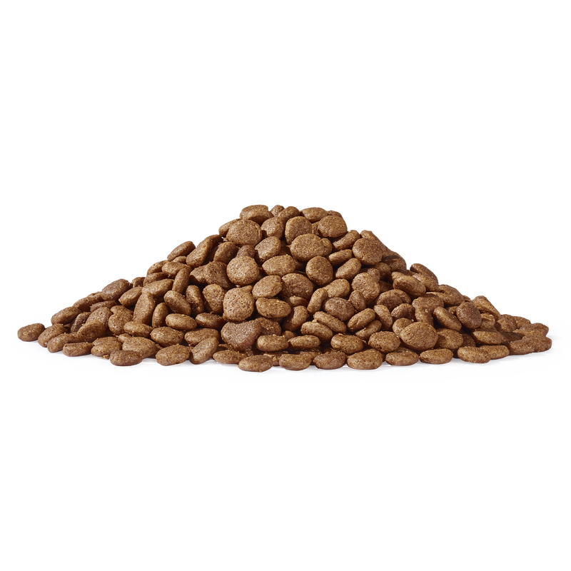 Schlemmermäulchen